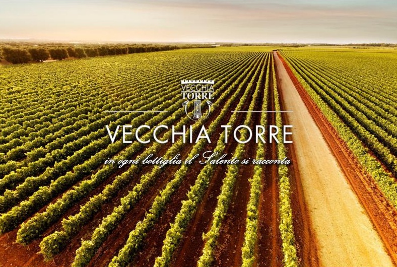 Thông tin nhà máy rượu lừng danh Cantina Vecchia Torre