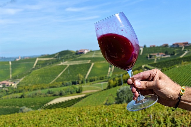 Khám phá vùng rượu vang Piedmont của nước Ý