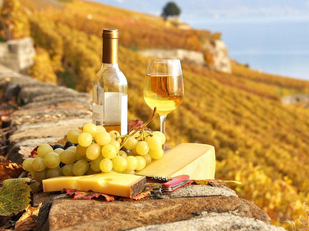 Vườn nho Lavaux