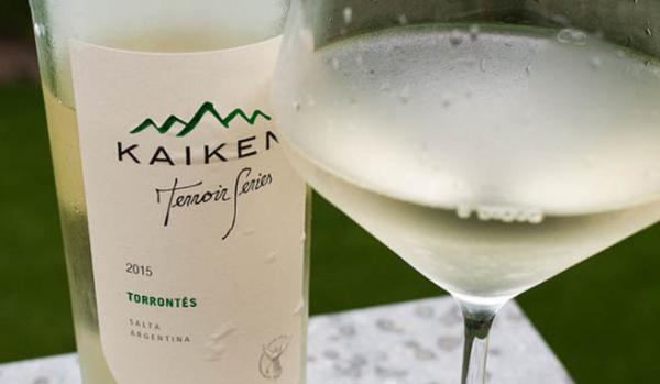 Rượu vang Argentina Kaiken Terroir Series Torrontes