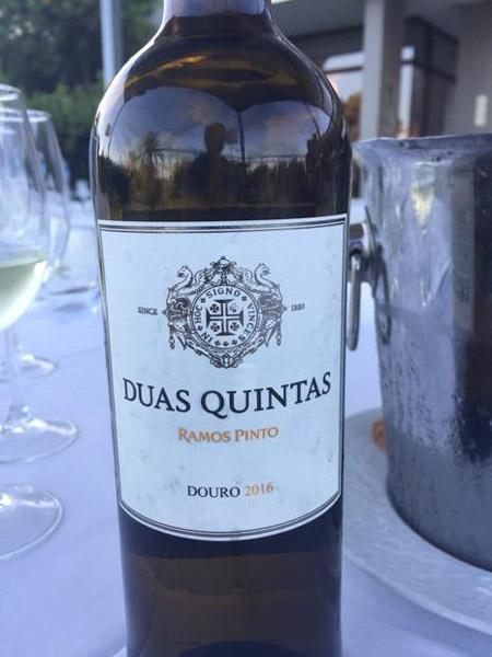 Rượu Vang Bồ Đào Nha Ramos Pinto Duas Quintas Red DOC