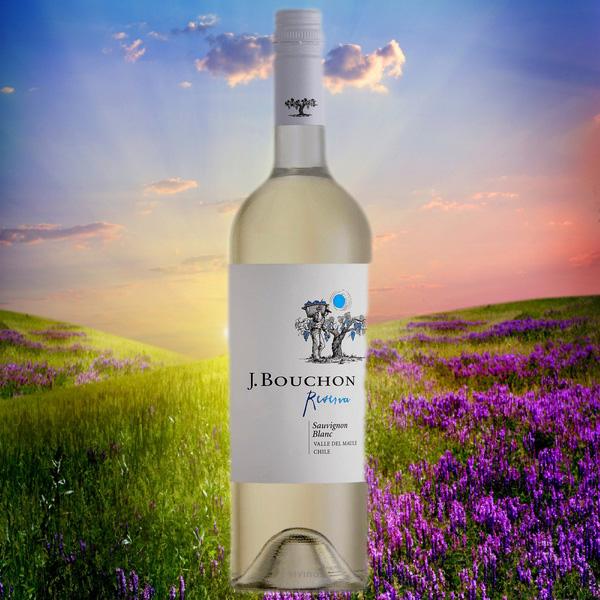 Rượu Vang Chile J.Bouchon Reserva Sauvignon Blanc