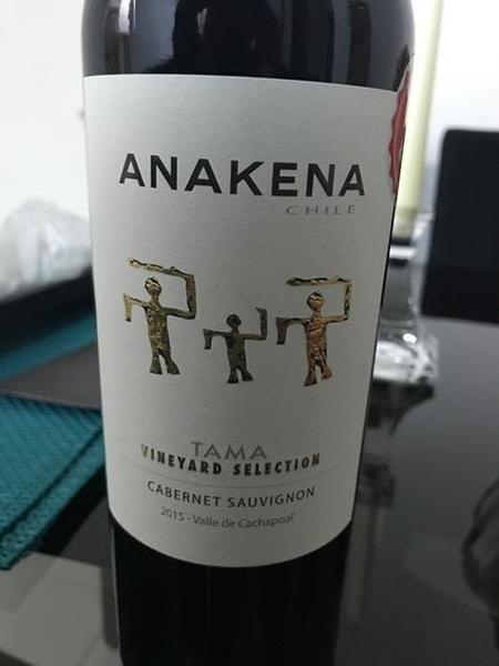 Rượu vang Chile Anakena Tama Vineyard Selection Cabernet Sauvignon