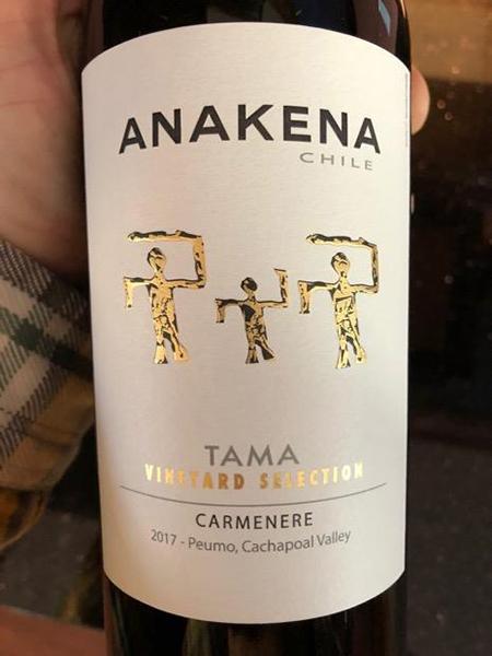 Rượu vang Chile Anakena Tama Vineyard Selection Carmenere