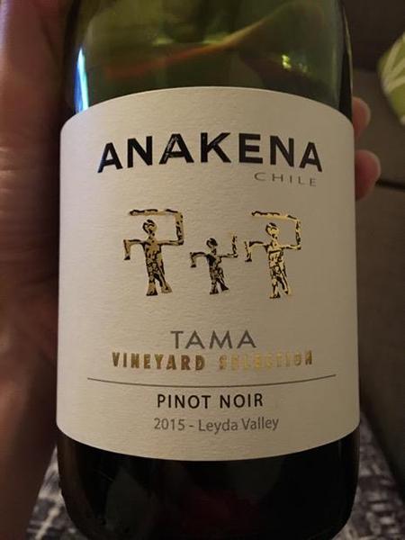 Rượu vang Chile Anakena Tama Vineyard Selection Pinot Noir
