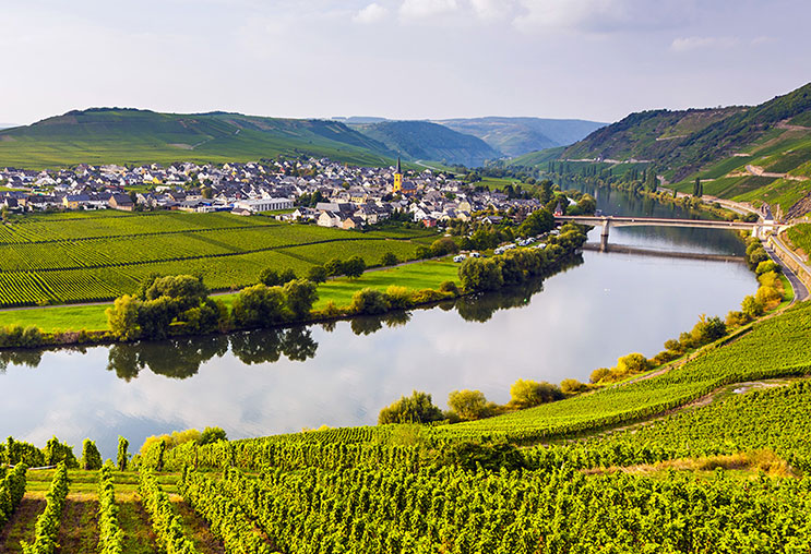 Rượu vang Đức - Germany wine