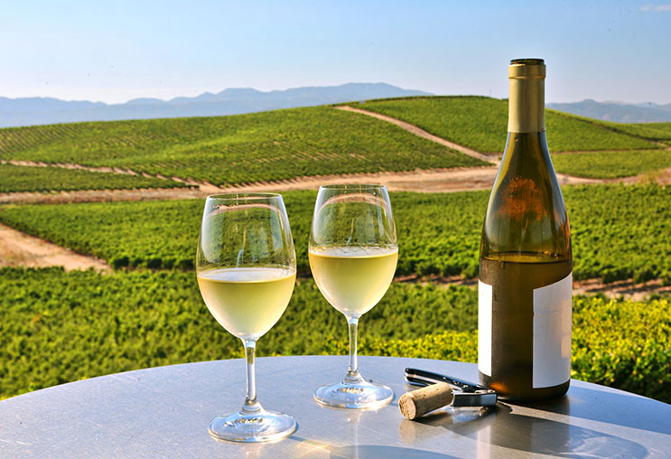 Rượu vang Riesling là niềm tự hào cho rượu vang Đức
