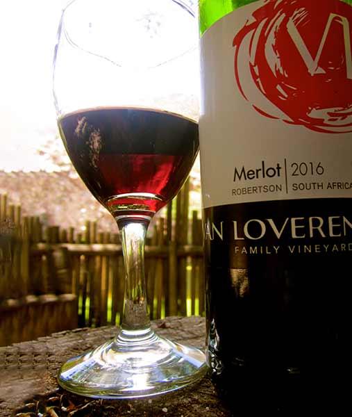 Rượu vang Nam Phi Van Loveren Merlot