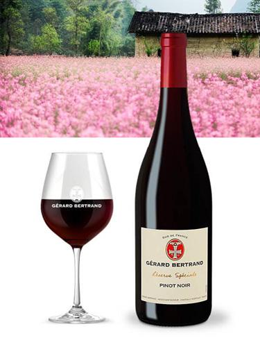 Rượu vang Pháp Gerard Bertrand Reserve Speciale Pinot Noir Pays d’Oc IGP