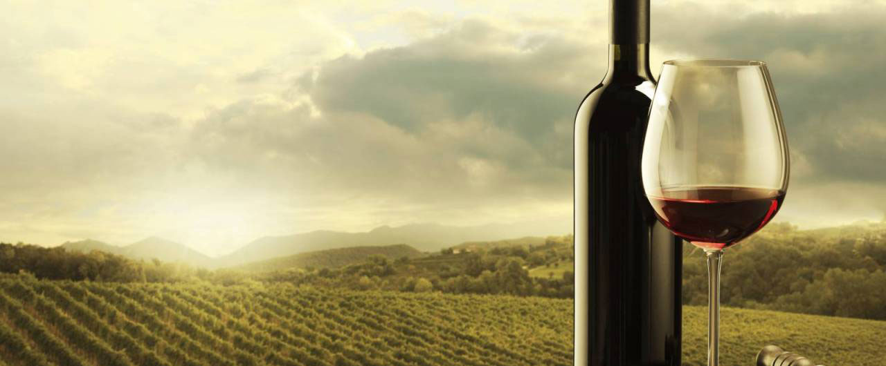 Rượu vang Ý - Italian wine