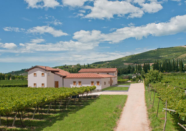 Rượu vang Negroamaro Italia - Rượu vang Ý Rượu vang Negroamaro Italia - Rượu vang Ý
