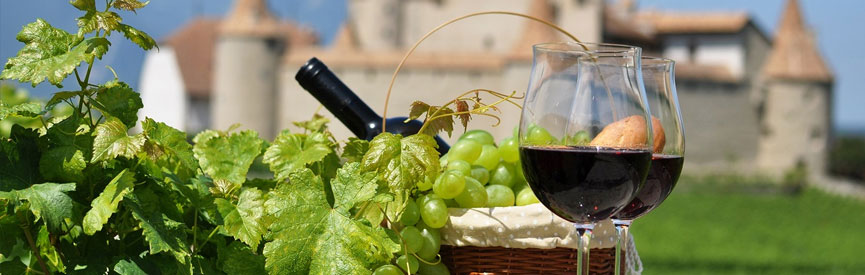 Rượu vang Ý - Italia wine Rượu vang Ý - Italia wine