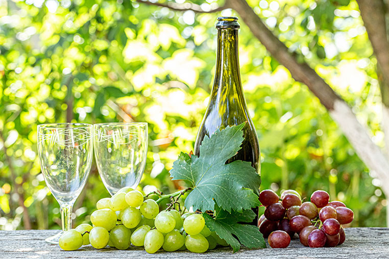Grapes Wine khoruou.vn Grapes Wine khoruou.vn