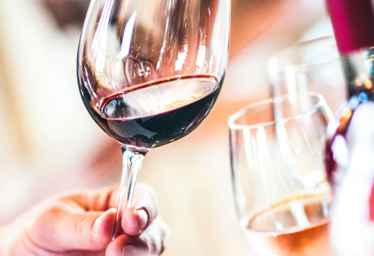 Rượu vang New Zealand: Nét độc đáo rượu vang vùng Marlborough