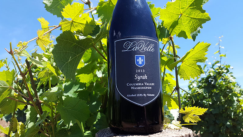 Rượu vang Syrah - Nho Syrah Rượu vang Syrah - Nho Syrah