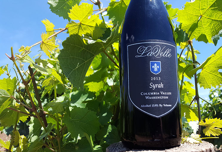 Rượu vang Syrah giá trị tốt nhất thế giới