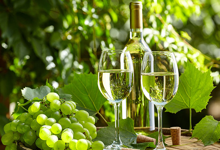 Rượu vang trắng với 5 lợi ích tuyệt vời cho sức khỏe