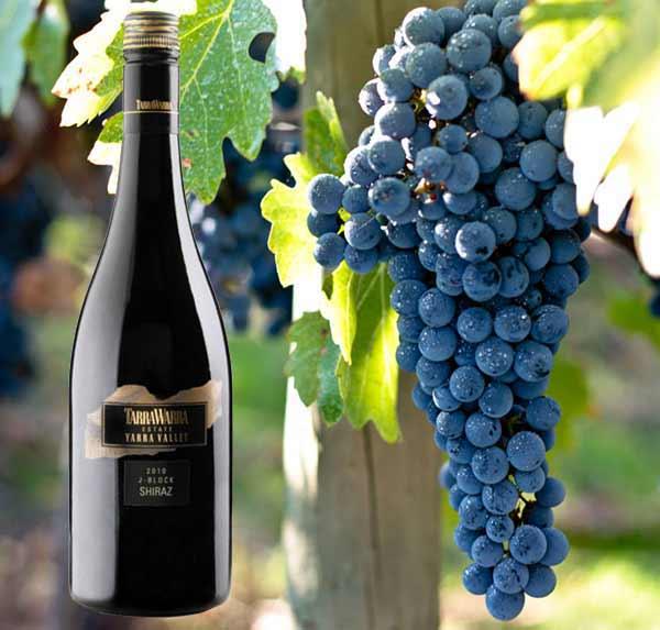 Rượu vang Úc TarraWarra Single Vineyard J-Block Shyrah