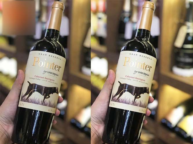 Rượu Vang Chile Undurraga Pointer Gran Reserva Cabernet Sauvignon