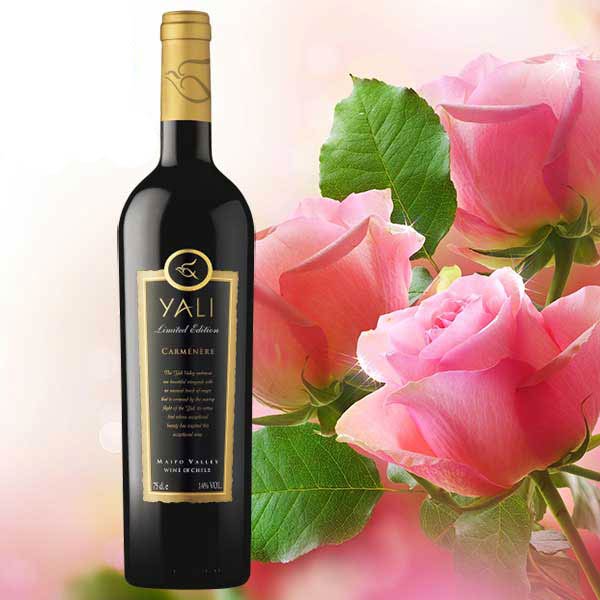 Rượu Vang Chile Yali Limited Edition