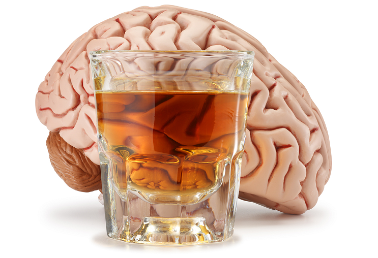Rượu vang và não bộ