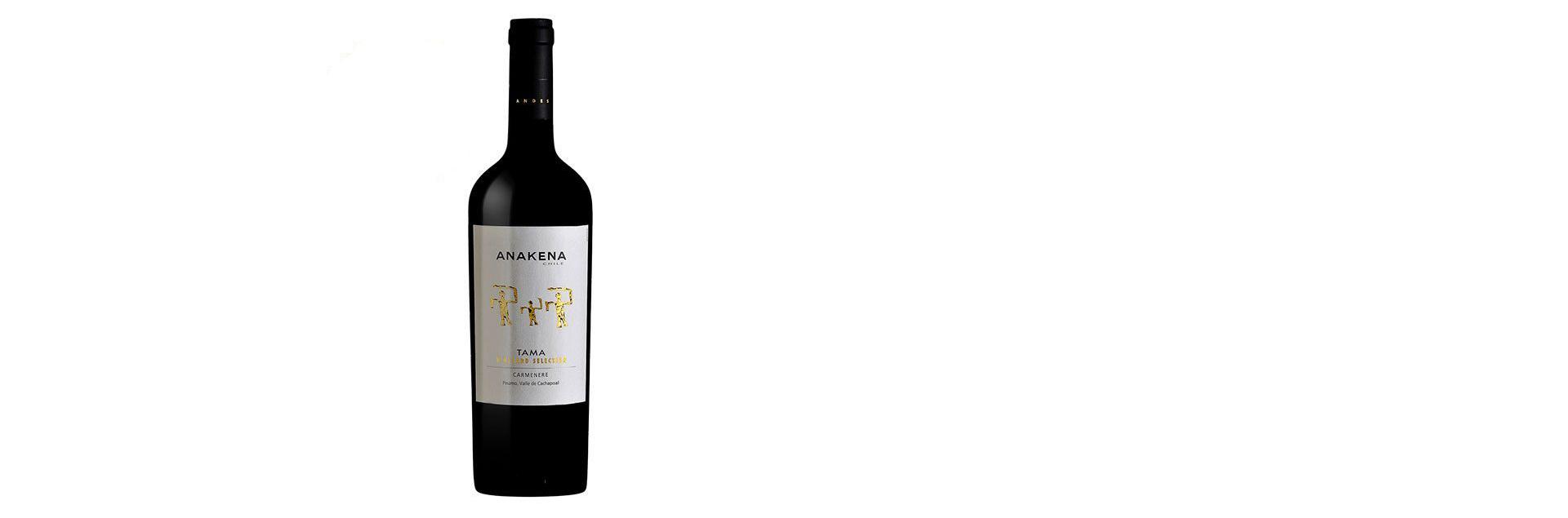 Rượu vang Chile Anakena Tama Vineyard Selection Carmenere