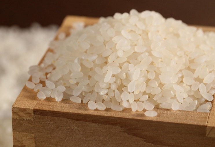 Đánh giá chất lượng gạo làm rượu sake bằng Shuzo Kotekimai