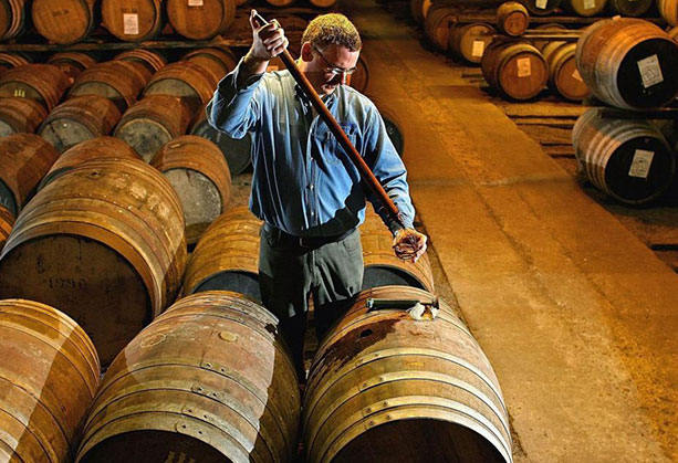 Rượu whisky Nhật Bản: Khám phá tầm quan trọng của thùng ủ